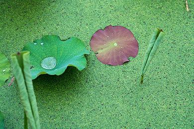 《刺客信条：影》可能是至今PS5 Pro上PSSR效果最好游戏